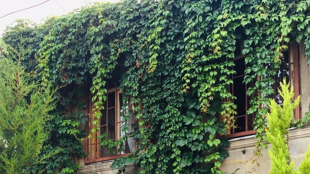 Гостевой дом Guest House “Ekvana” Тбилиси-13